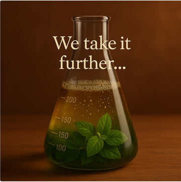 Why Fermented Herbs Work Better Than Traditional Extracts